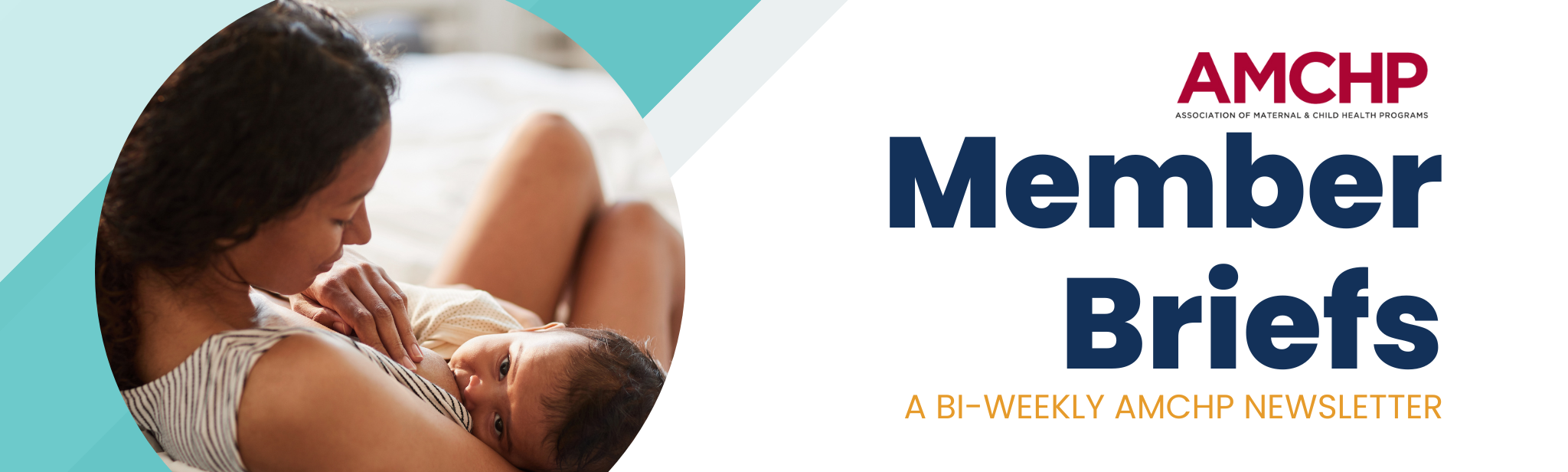 Member Briefs Banner: A bi-weekly AMCHP newsletter. Image of mother breastfeeding her baby.