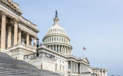 House Appropriations Bill Proposes Slight Decrease to Title V Block Grant in Fiscal Year 2025