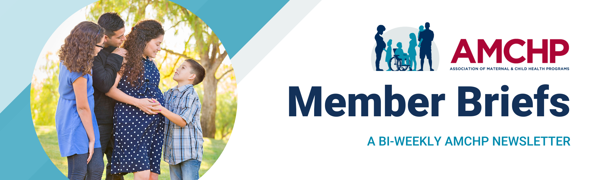 Member Briefs Banner: A bi-weekly AMCHP newsletter. 