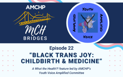 Episode 22 – Black Trans Joy: Childbirth & Medicine