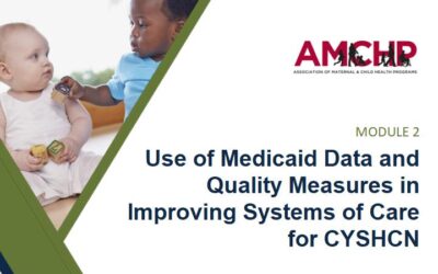 Use of Medicaid Data and Quality Measures in Improving Systems of Care for CYSHCN 