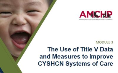 The Use of Title V Data and Measures to Improve Systems of Care for CYSHCN