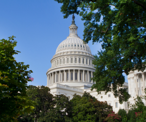 AMCHP Leads Efforts to Support Funding for Federal MCH Programs in FY26; White House Begins Releasing FY26 Budget Proposal Materials 