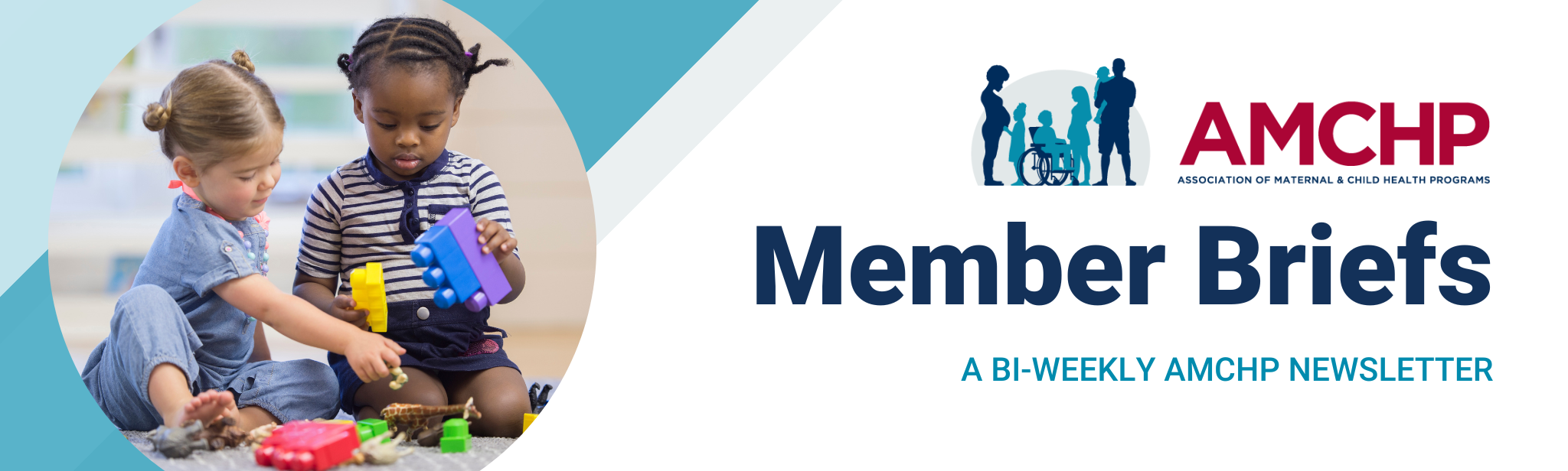 AMCHP Member Briefs Banner, a bi-weekly newsletter