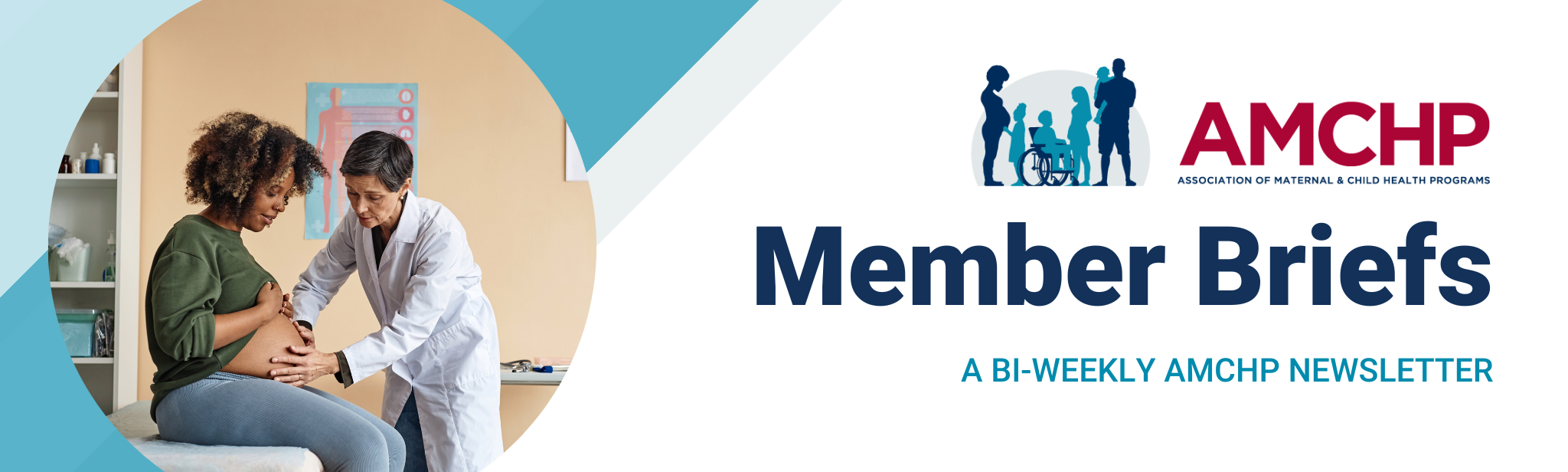 AMCHP Member Briefs Banner, a bi-weekly newsletter