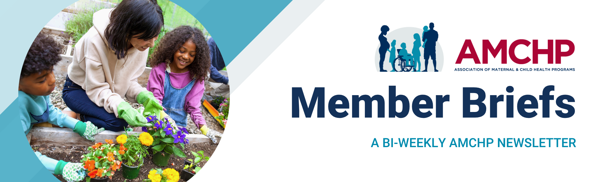 AMCHP Member Briefs Banner, a bi-weekly newsletter