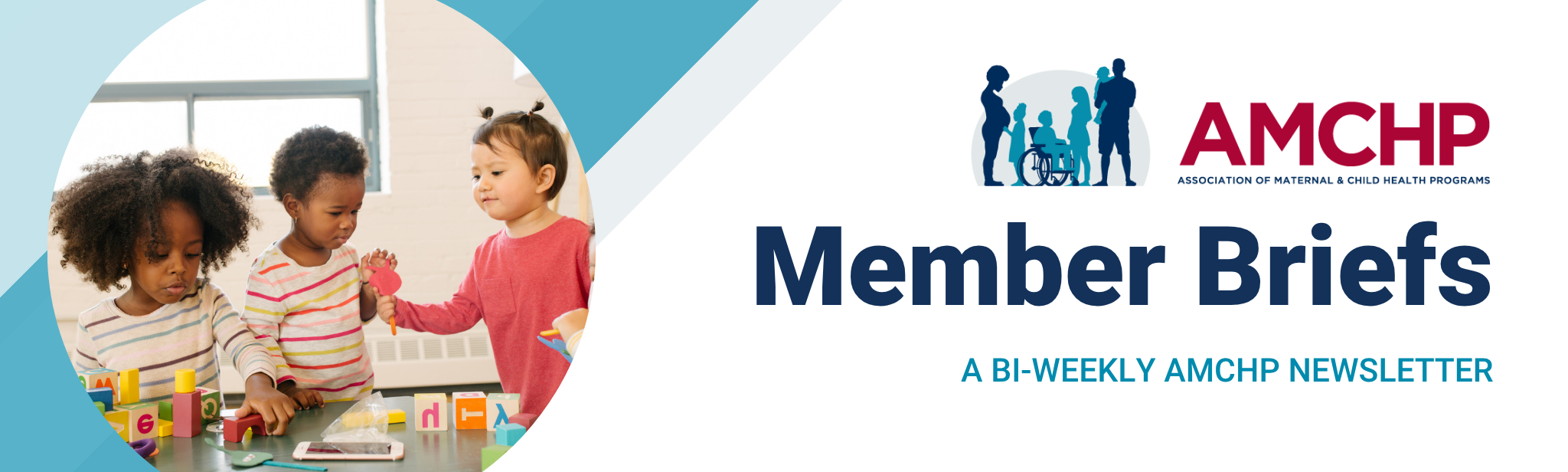 AMCHP Member Briefs Banner, a bi-weekly newsletter